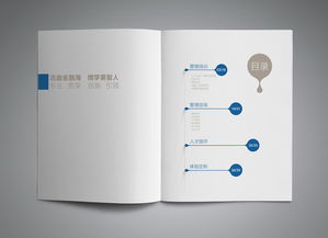 專業(yè)咨詢公司產(chǎn)品手冊設計與圖文制作指南